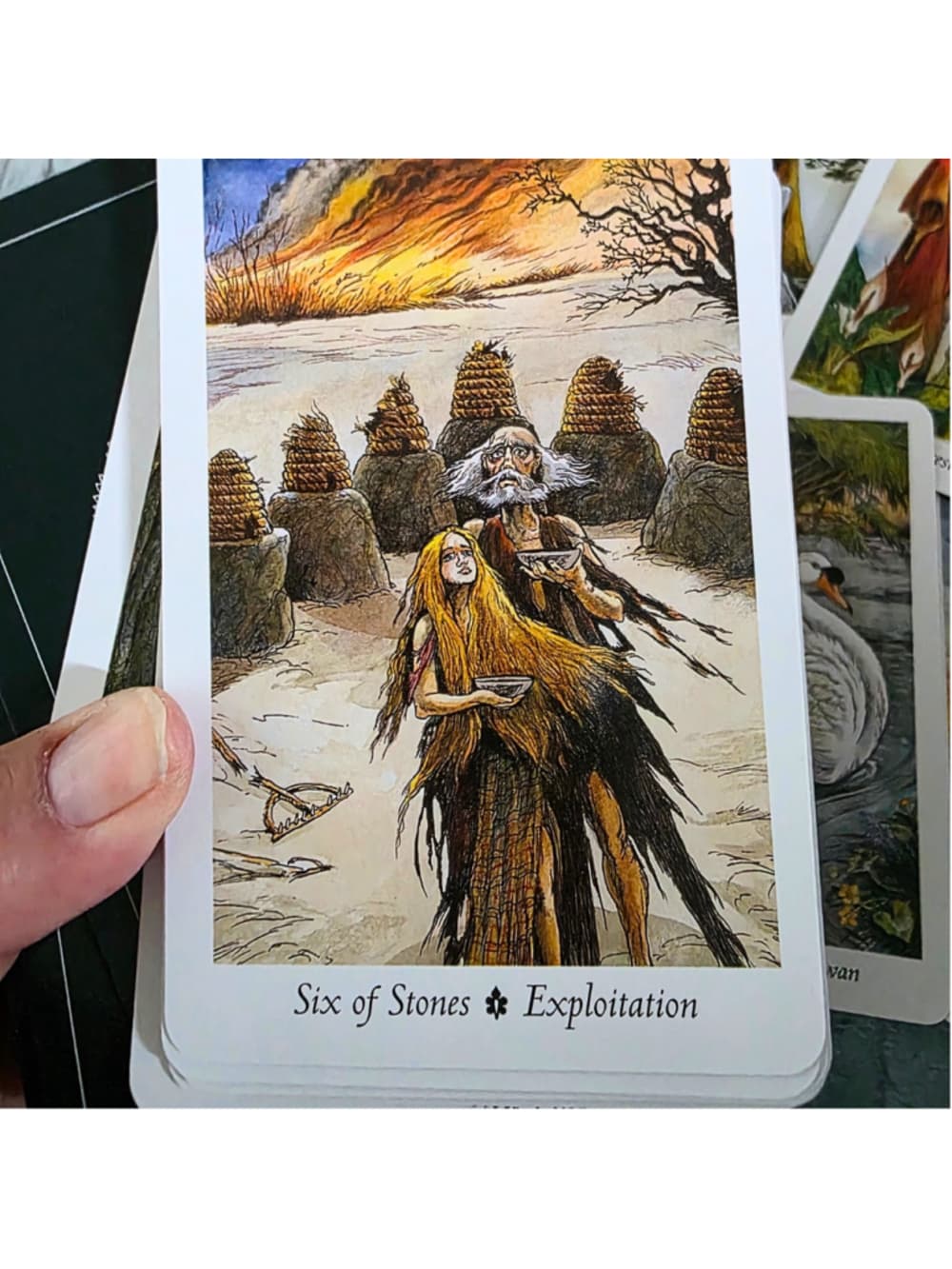 The Wildwood Tarot Deck & Guidebook Set by Mark Ryan & John Matthews (Complete) - Thumbnail 6