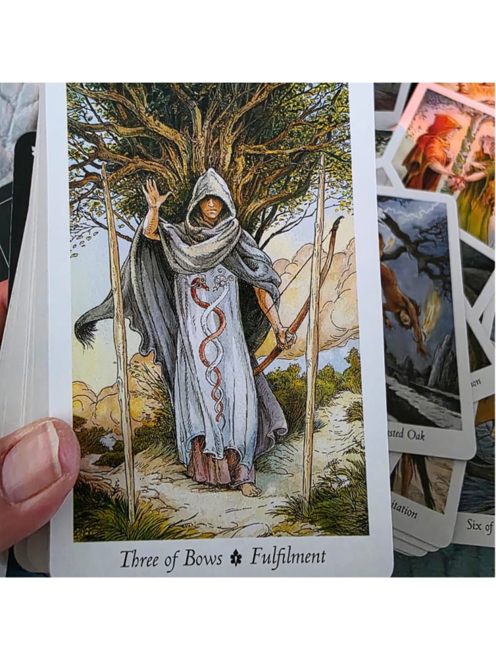 The Wildwood Tarot Deck & Guidebook Set by Mark Ryan & John Matthews (Complete) - Thumbnail 3