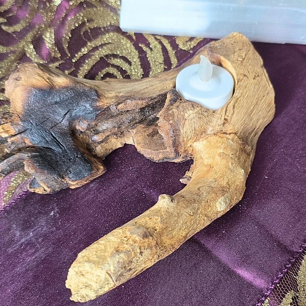 Natural Driftwood Tea Light Holder - Sculptural Found Wood Altar - Unique Rustic - Thumbnail 2