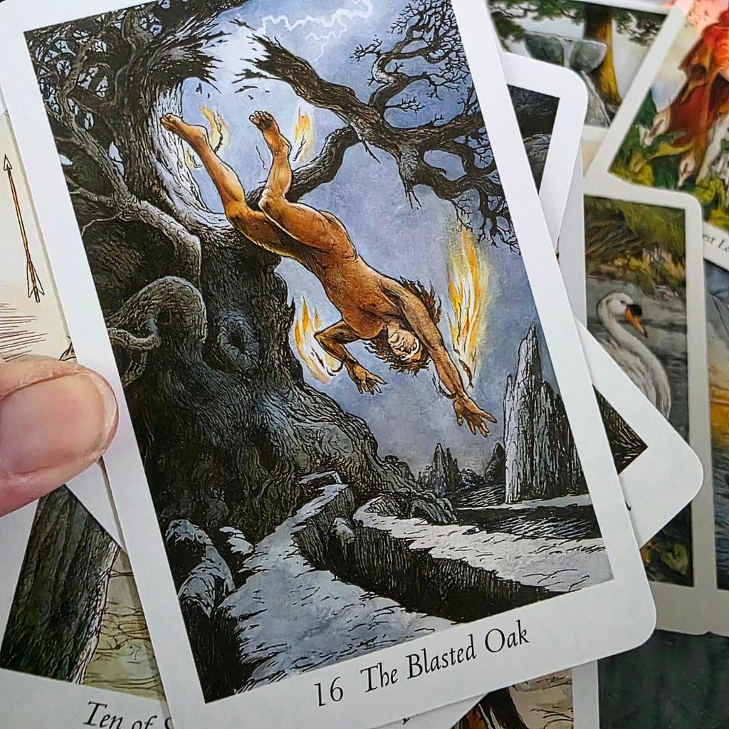 The Wildwood Tarot Deck Guidebook Set by Mark Ryan & John Matthews (Complete) - Thumbnail 6