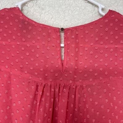 The Limited Blouse Womens XS Pink Round Neck 3/4 Sleeve Swiss Dot Tunic Sheer - Thumbnail 4