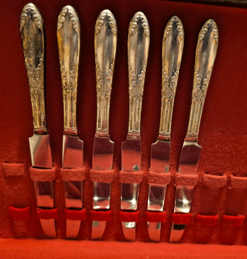 National Silver Co Silverware Flatware Silverplated 6 PLC 36 PCS with Chest - Thumbnail 3