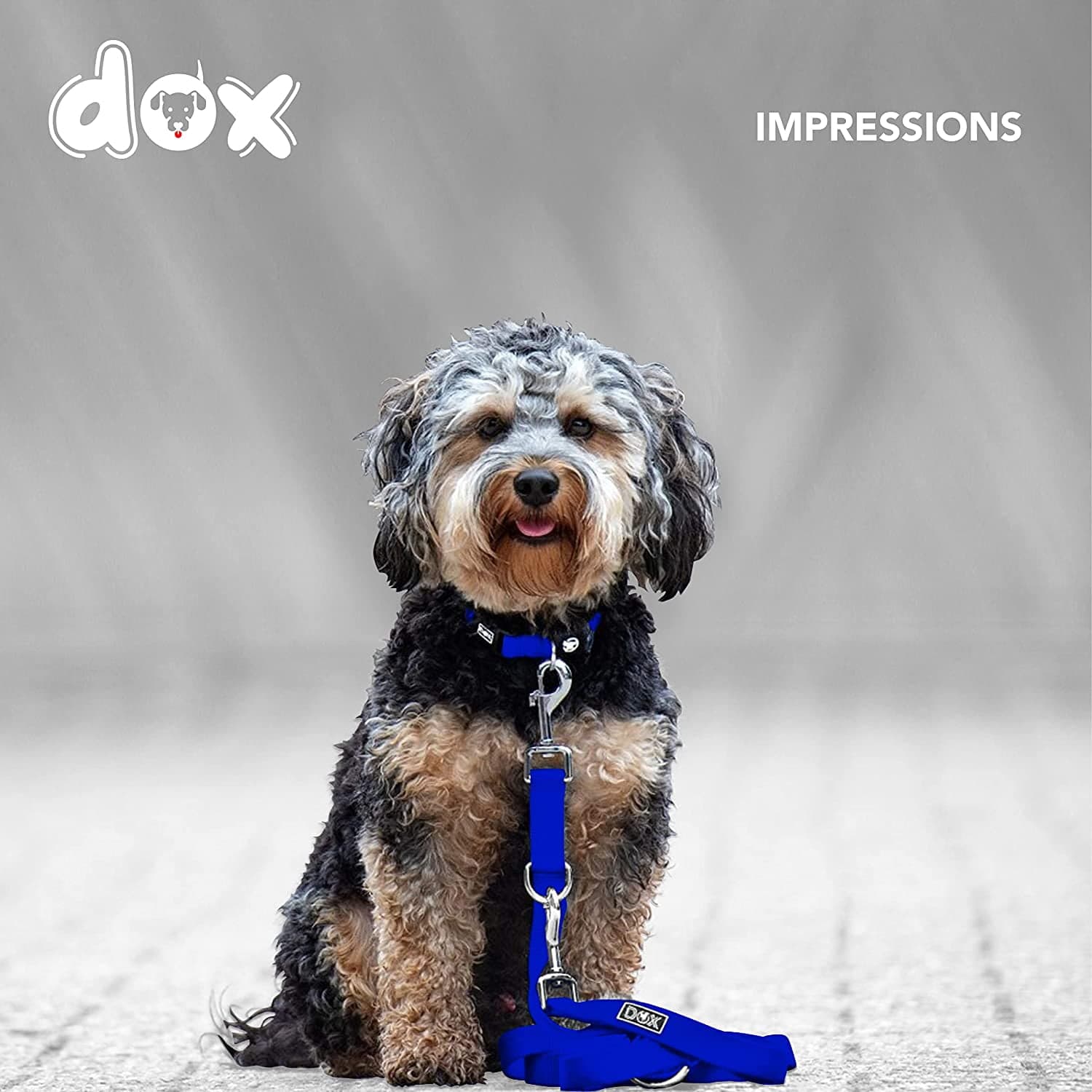 Ddoxx Nylon Dog Leash 3-Way Adjustable 66 Ft - for Dogs Large Small - Thumbnail 3