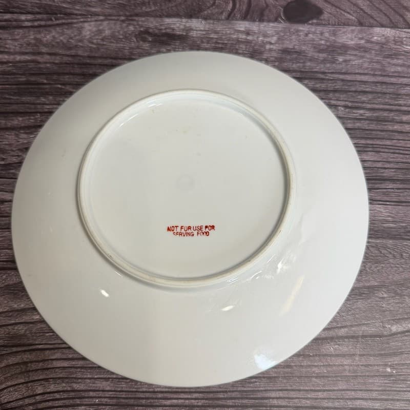 Vintage Pikes Peak Colorado Souvenir Collector Plate 8” - Thumbnail 10