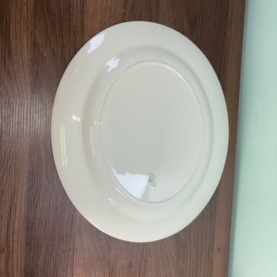 Homer Laughlin Rose Century Service Green Oval Serving Platter VTG - Thumbnail 11