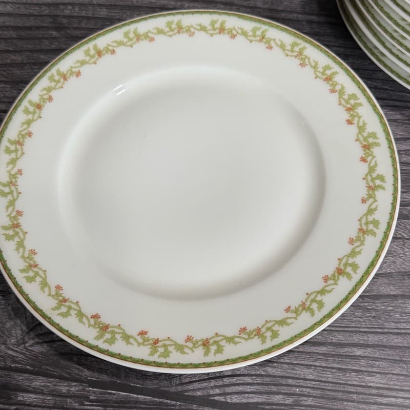 Set of 8 Theodore Haviland Limoges France Salad Plates with Green Vine and Pink - Thumbnail 5