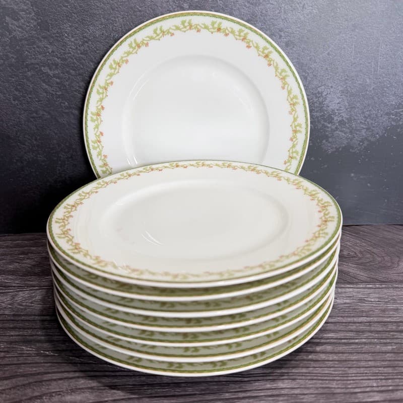 Set of 8 Theodore Haviland Limoges France Salad Plates with Green Vine and Pink
