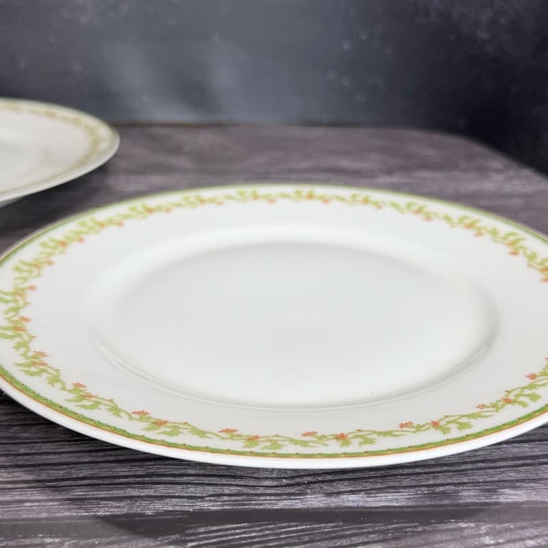 Set of 8 Theodore Haviland Limoges France Salad Plates with Green Vine and Pink - Thumbnail 14