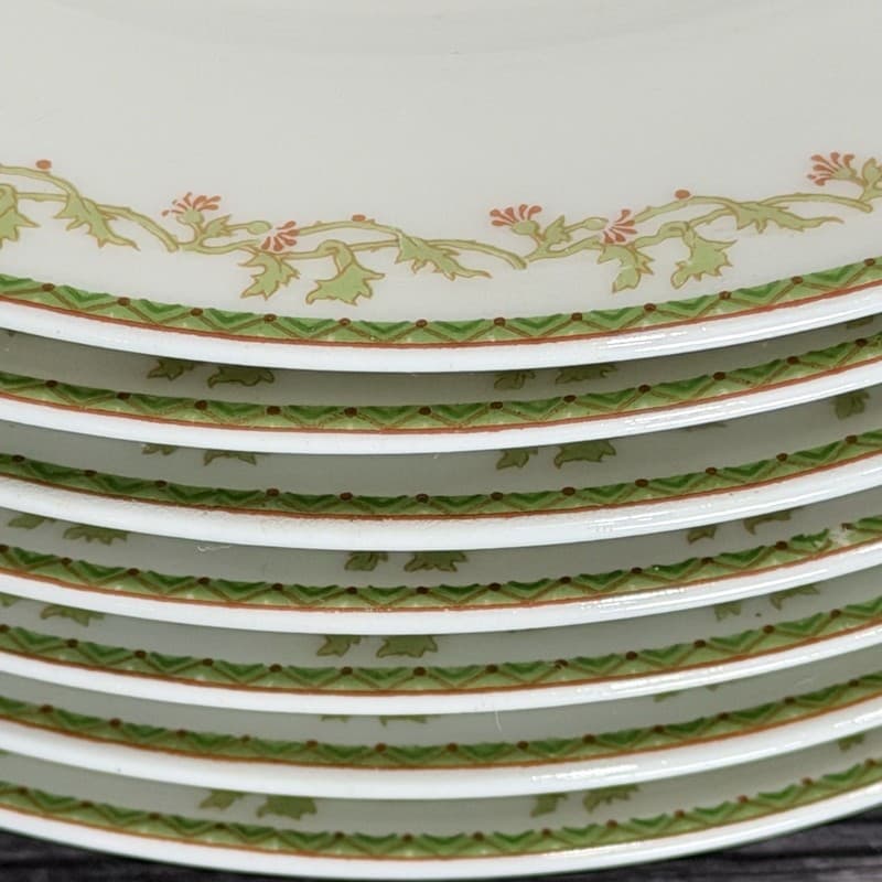 Set of 8 Theodore Haviland Limoges France Salad Plates with Green Vine and Pink - Thumbnail 4