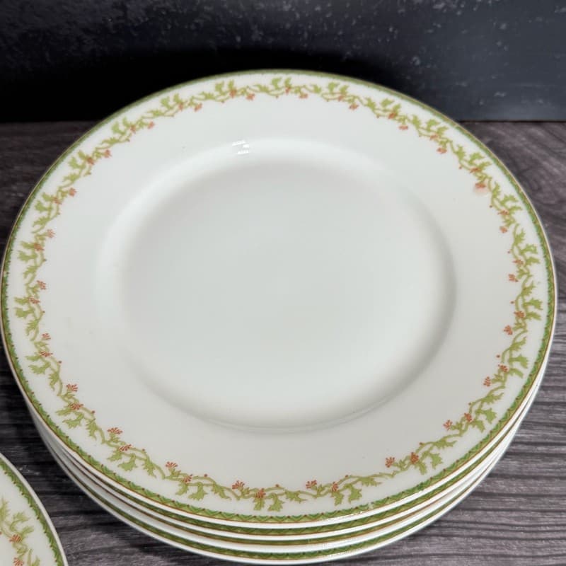 Set of 8 Theodore Haviland Limoges France Salad Plates with Green Vine and Pink - Thumbnail 6
