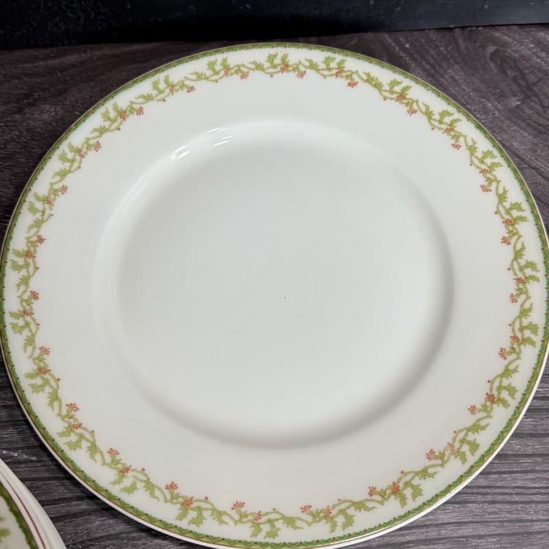 Set of 8 Theodore Haviland Limoges France Salad Plates with Green Vine and Pink - Thumbnail 9