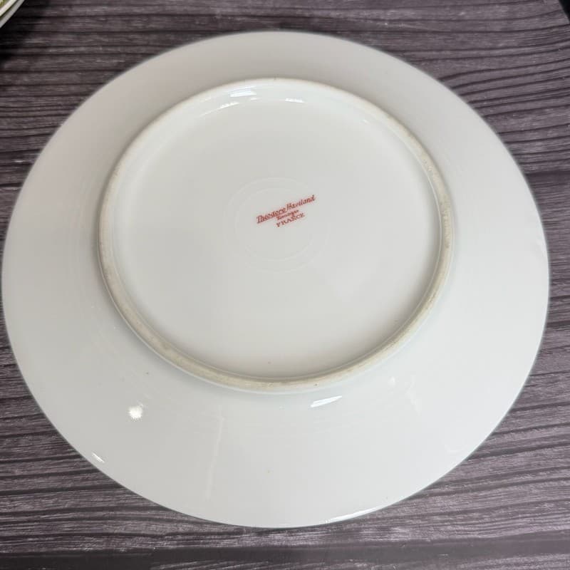 Set of 8 Theodore Haviland Limoges France Salad Plates with Green Vine and Pink - Thumbnail 17