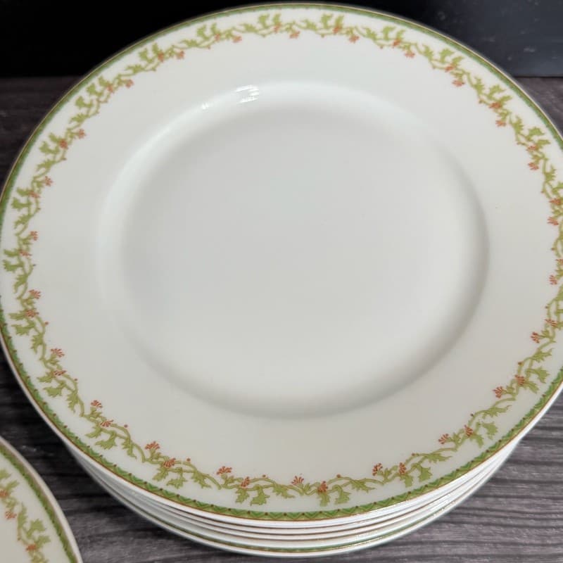 Set of 8 Theodore Haviland Limoges France Salad Plates with Green Vine and Pink - Thumbnail 8