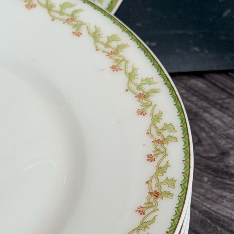 Set of 8 Theodore Haviland Limoges France Salad Plates with Green Vine and Pink - Thumbnail 3