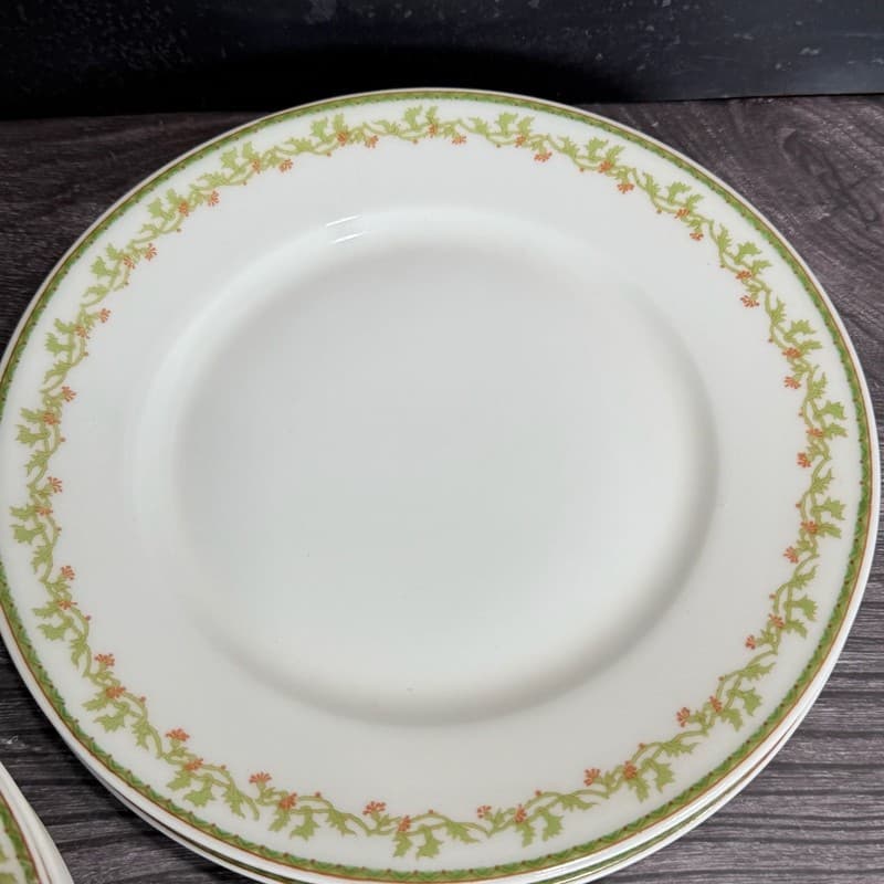 Set of 8 Theodore Haviland Limoges France Salad Plates with Green Vine and Pink - Thumbnail 10