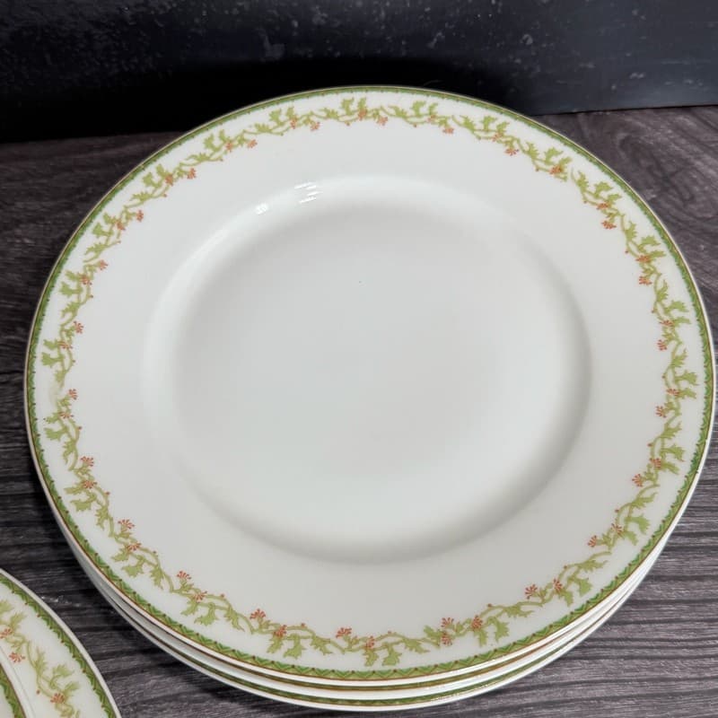 Set of 8 Theodore Haviland Limoges France Salad Plates with Green Vine and Pink - Thumbnail 11