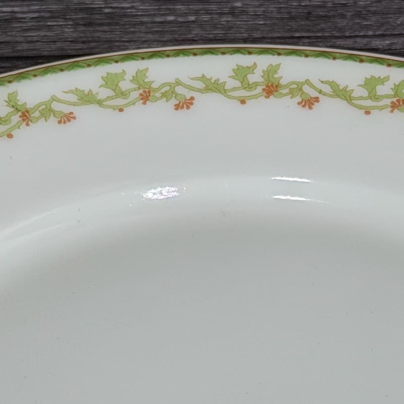 Set of 8 Theodore Haviland Limoges France Salad Plates with Green Vine and Pink - Thumbnail 12