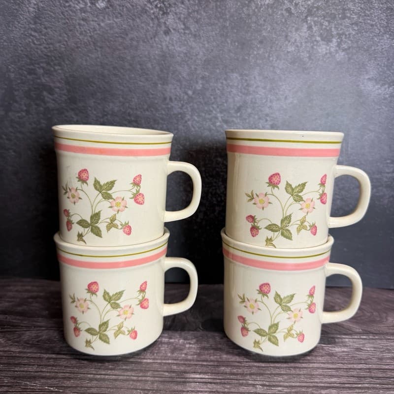 Newcor Stoneware Strawberry Mugs Set of 4