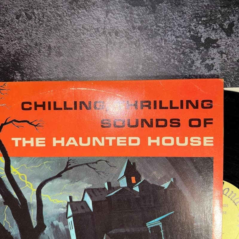 Chilling, Thrilling Sounds Of The Haunted House Vintage Vinyl LP Disneyland DQ-1 - Thumbnail 6