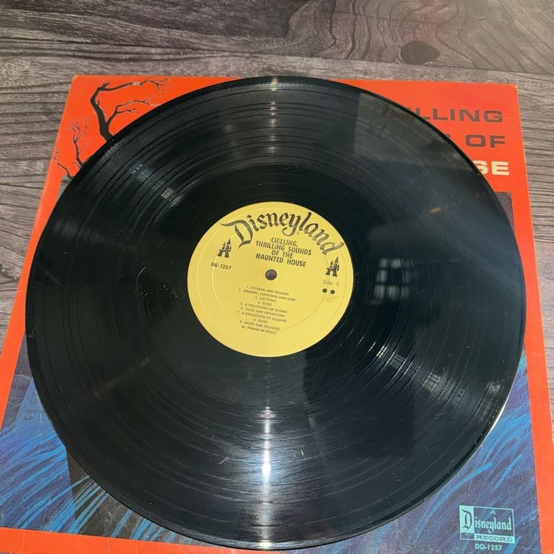 Chilling, Thrilling Sounds Of The Haunted House Vintage Vinyl LP Disneyland DQ-1 - Thumbnail 10