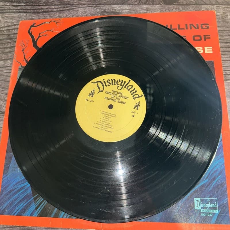 Chilling, Thrilling Sounds Of The Haunted House Vintage Vinyl LP Disneyland DQ-1 - Thumbnail 7