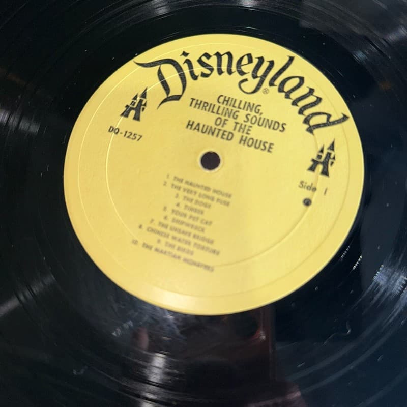 Chilling, Thrilling Sounds Of The Haunted House Vintage Vinyl LP Disneyland DQ-1 - Thumbnail 8