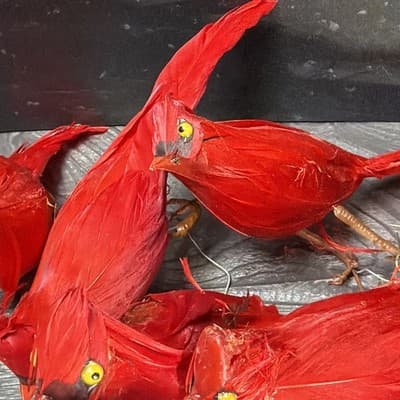 Vintage Lot Of 17 Cardinals with Feathers And Wire For Hanging Ornaments Crafts - Thumbnail 6