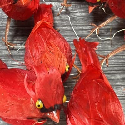 Vintage Lot Of 17 Cardinals with Feathers And Wire For Hanging Ornaments Crafts - Thumbnail 4