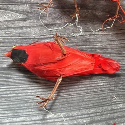 Vintage Lot Of 17 Cardinals with Feathers And Wire For Hanging Ornaments Crafts - Thumbnail 7