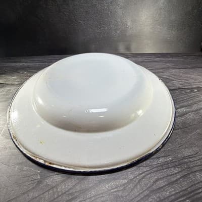 Enamel Turkey Platter Oval Plate Thanksgiving Decor Farmhouse Bright Colors VTG - Thumbnail 11