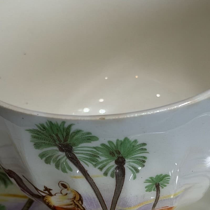 W.S. George Bolera Desert Camel Tea Cups and Saucers Set of 8 - Thumbnail 8
