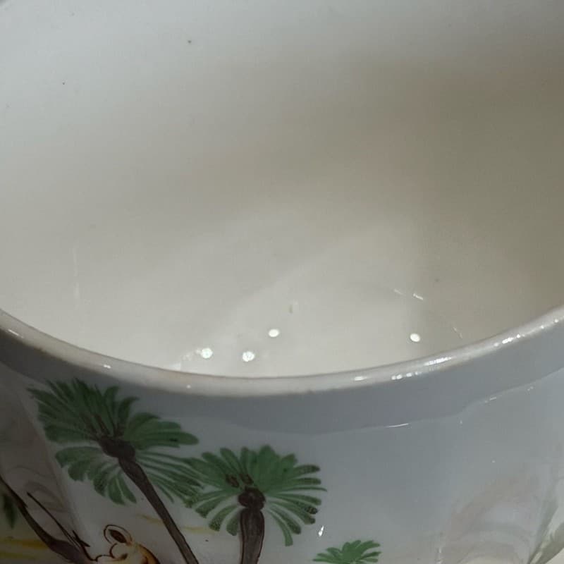 W.S. George Bolera Desert Camel Tea Cups and Saucers Set of 8 - Thumbnail 7