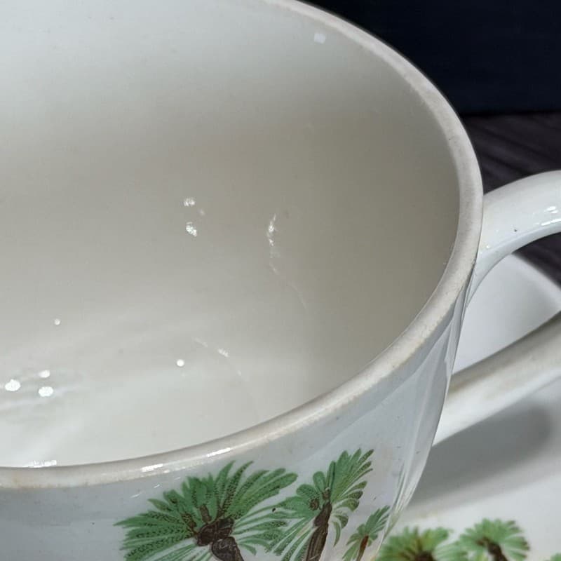 W.S. George Bolera Desert Camel Tea Cups and Saucers Set of 8 - Thumbnail 5