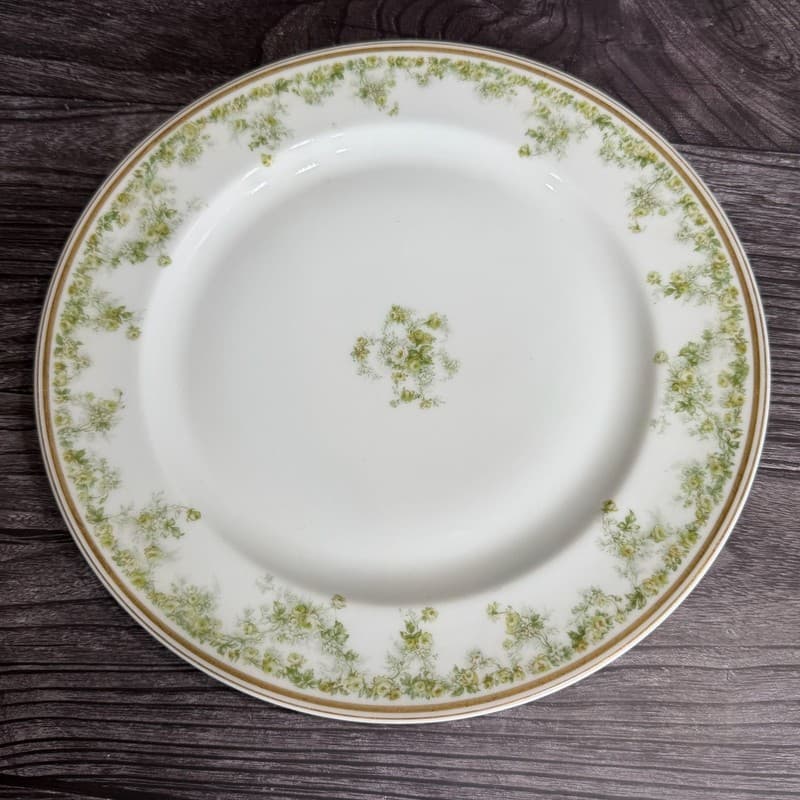 Vintage Haviland & Co. Limoges 9.75 Inch Dinner Plate Schleiger 61 Pattern Green