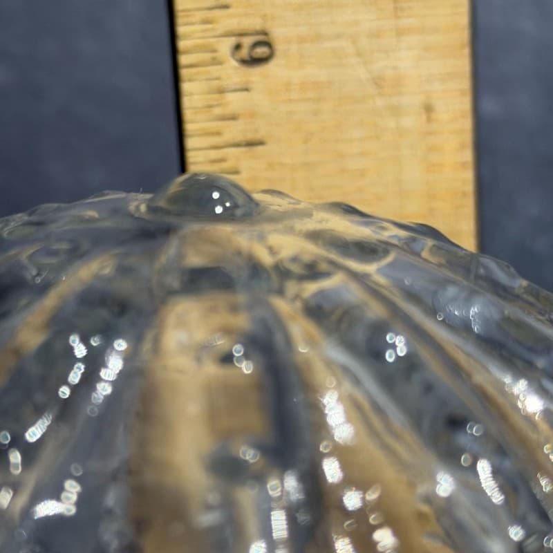 Antique Embossed Clear Rose Glass Globe Replacement Lamp Shade - Thumbnail 9