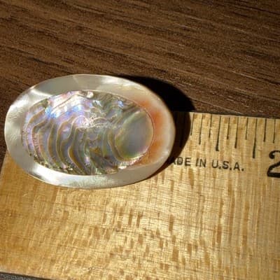 Antique Sterling Oval Layered Mother Of Pearl Brooch C Clasp Pin Peach - Thumbnail 7