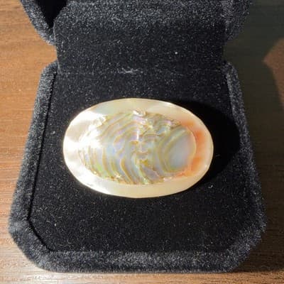 Antique Sterling Oval Layered Mother Of Pearl Brooch C Clasp Pin Peach