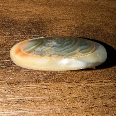 Antique Sterling Oval Layered Mother Of Pearl Brooch C Clasp Pin Peach - Thumbnail 5