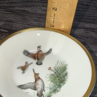 Artibus Portugal Porcelain Tea Cup & Saucer Pheasants Gold Rim Birds Hunting Dog - Thumbnail 16