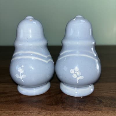 Vintage Pfaltzgraff USA “Bouquet Gazebo” Blue Salt & Pepper Shakers