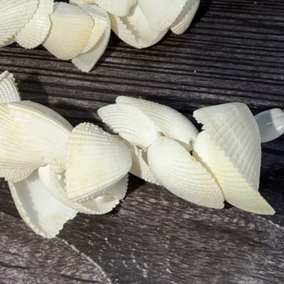 Vintage Two Strand Polynesian Sea Shell Necklace - Thumbnail 6