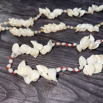 Vintage Two Strand Polynesian Sea Shell Necklace - Thumbnail 2