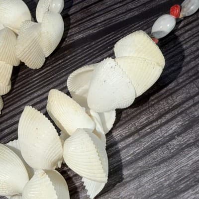 Vintage Two Strand Polynesian Sea Shell Necklace - Thumbnail 8