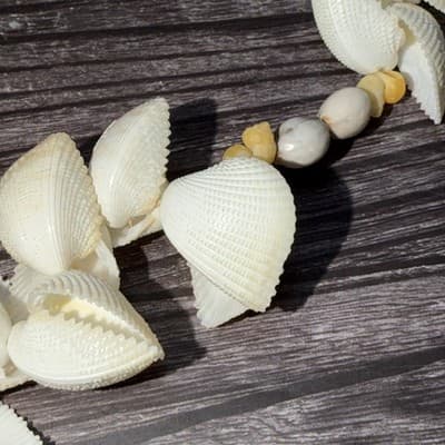 Vintage Two Strand Polynesian Sea Shell Necklace - Thumbnail 12