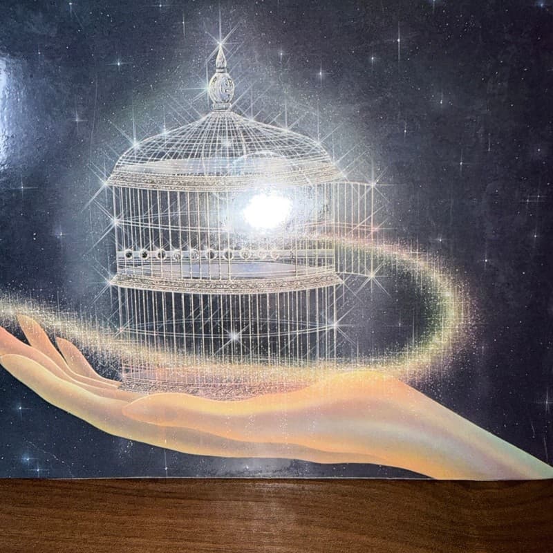 Herbie Mann Bird In A Silver Cage Vinyl LP (1976) Record - Thumbnail 3