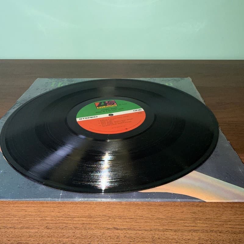 Herbie Mann Bird In A Silver Cage Vinyl LP (1976) Record - Thumbnail 6