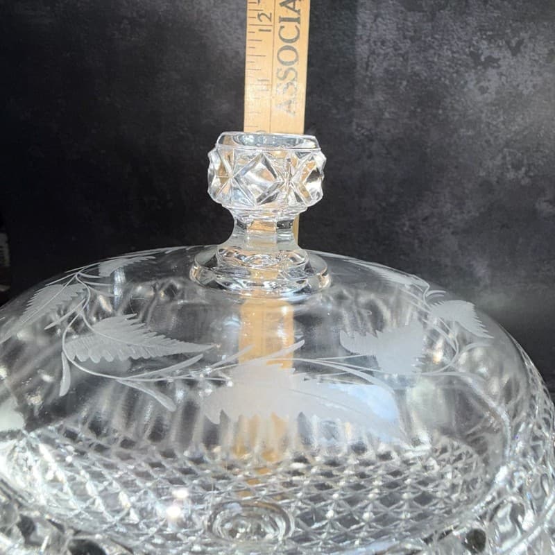 Antique Mascotte Pattern Covered Pedestal Compote with Fern Etching EAPG 1884 - Thumbnail 22