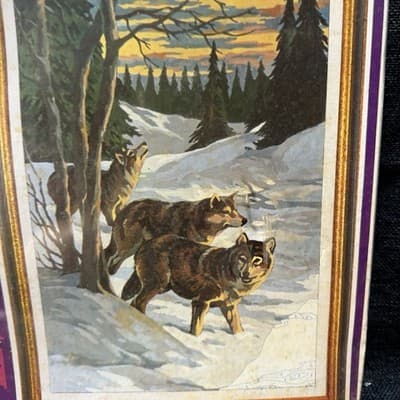 NOS Vtg 70’s Craft House Paint By Number Wolfs Landscape Rough Condition - Thumbnail 6