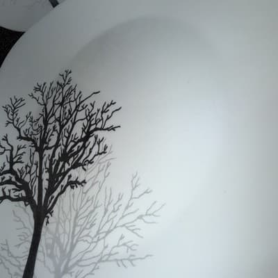 4 Corelle Timber Shadows 10.5 " Square Dinner Plates Black Gray Tree Deep - Thumbnail 4