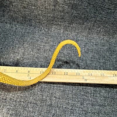 Vintage Imperial Dragon Frilled Lizard Figure Yellow Orange Plastic 12” X 7.5” - Thumbnail 10